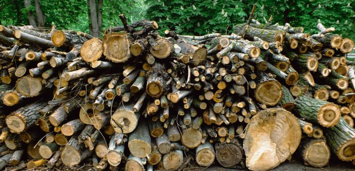 SGAC_Ajustement foret 1 copie
